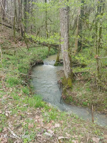 $449,000 | 0 Brownlow Newman Lane, Kodak, TN 37764