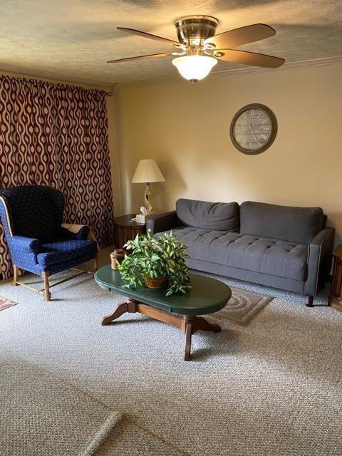 512 Main Cross Street Vevay, IN 47043 - Photo 5 of 6