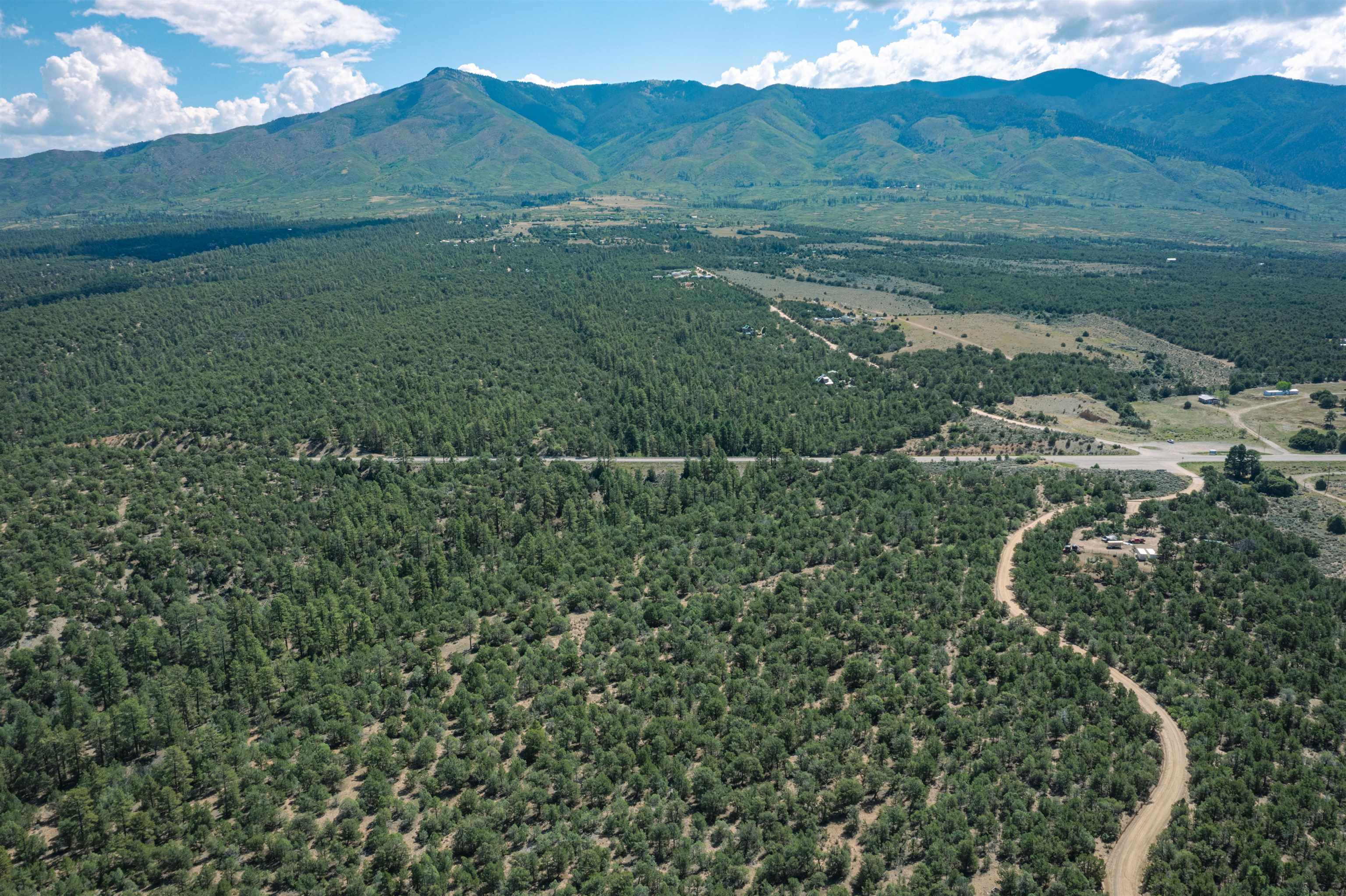0 Forest Rd 9 Ramah, NM 87556 - Photo 8 of 22 Gallery Image 8