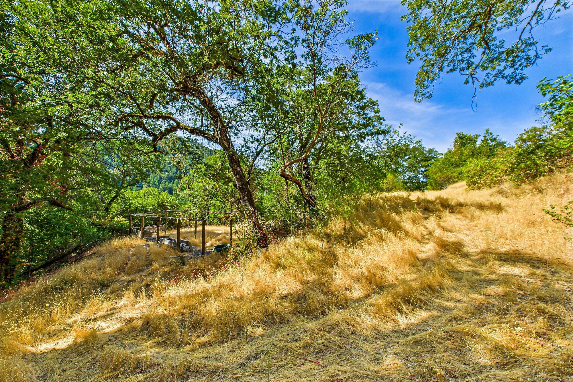 1991 Steelhead Road Alderpoint, CA 95511 - Photo 61 of 66 West Side of Steelhead