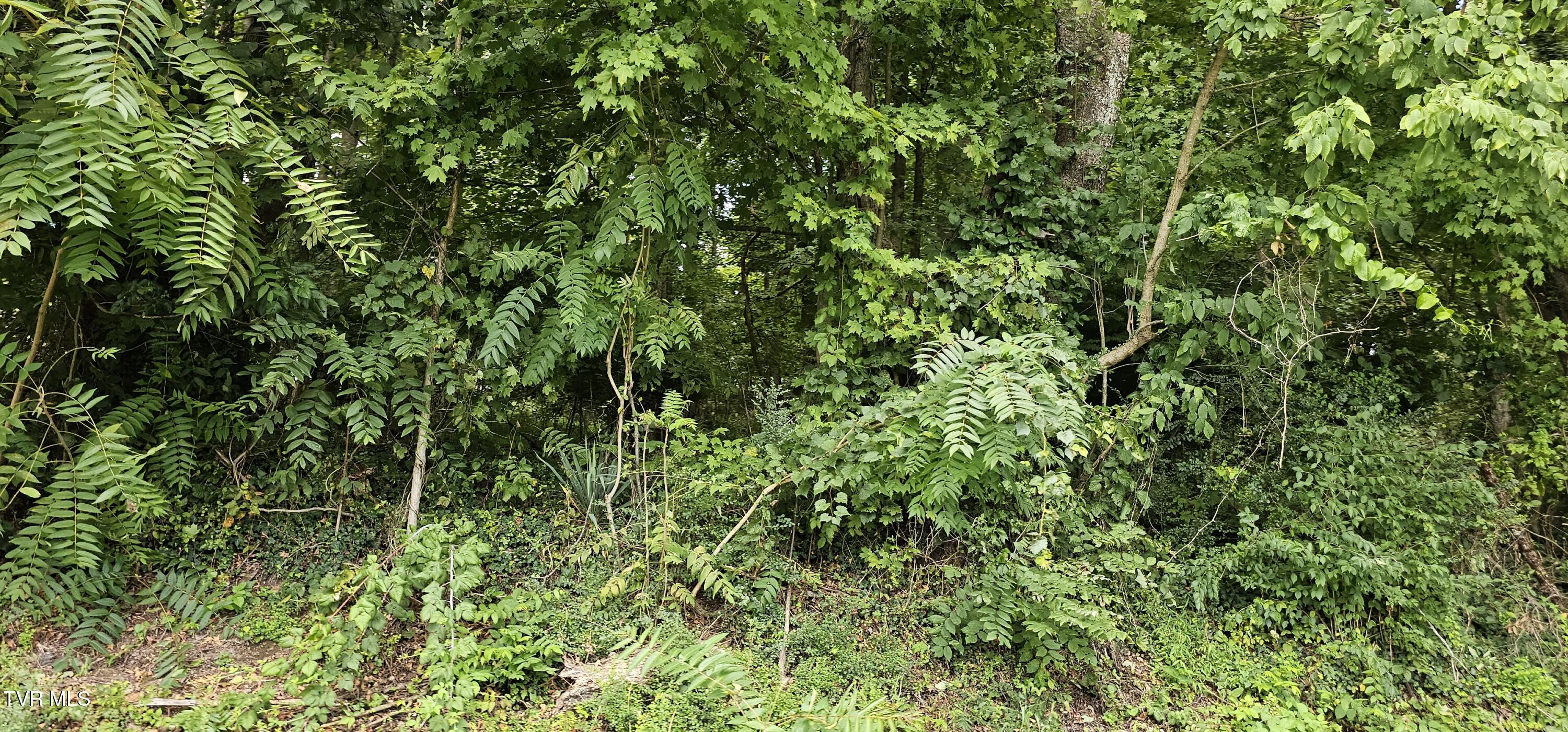 Tbd Green Spring Road, Unit 7 Abingdon, VA 24210 - Photo 2 of 2 20240820_125204