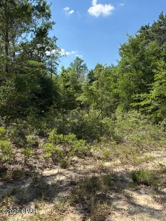 $37,000 | 0 Pasofino Lane, Unit M2, Alford, FL 32420