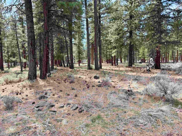 $13,000 | 502-575 Pinon Way, Susanville, CA 96130