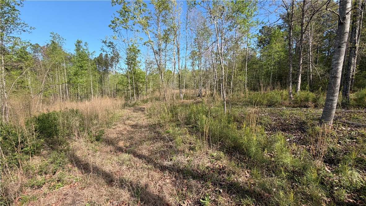 2125 Highway 247 Belton, SC 29627 - Photo 11 of 15 A tranquil, secluded lot awaits your vision, bordered by natural woodlands and mature trees.