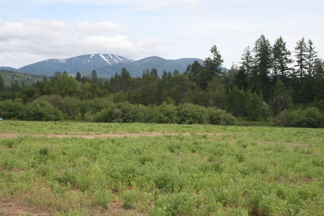 12020 East Nelson Road Elk, WA 99009 - Photo 18 of 20