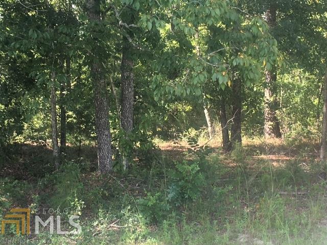 0 Barefield Road, Unit 6 Millen, GA 30442 - Photo 1 of 1