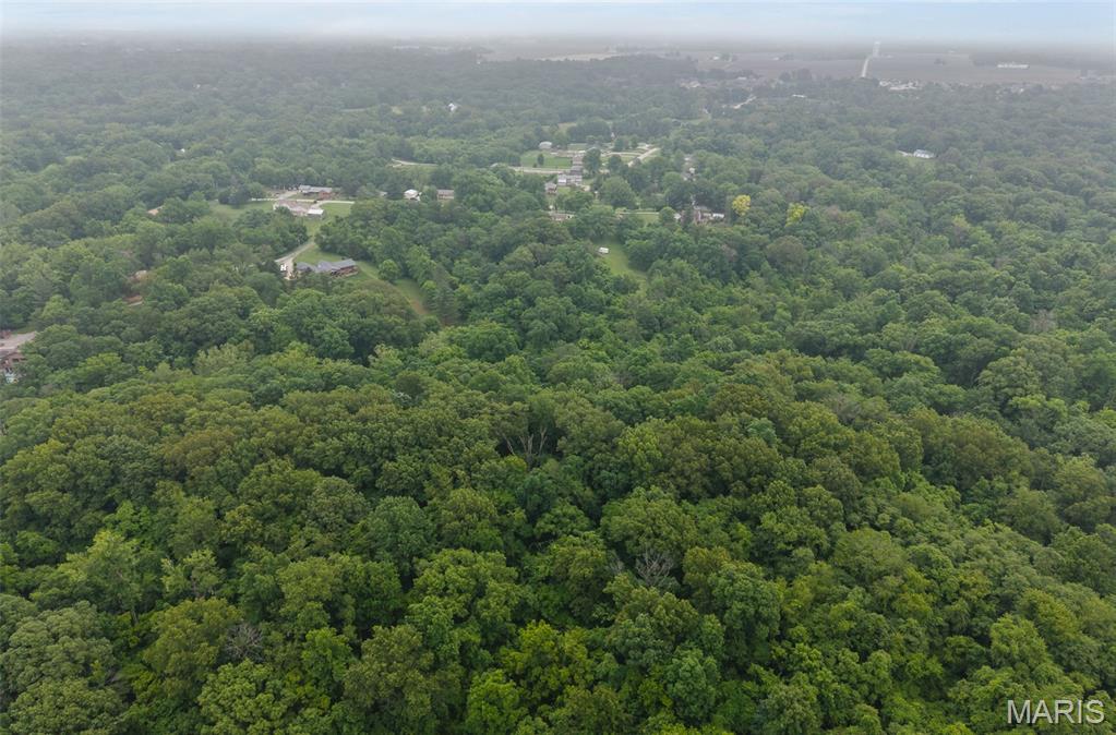 1236 South Clinton Road Caseyville, IL 62232 - Photo 55 of 58