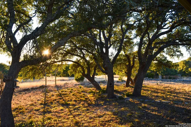 an aerial view of residential building and ocean