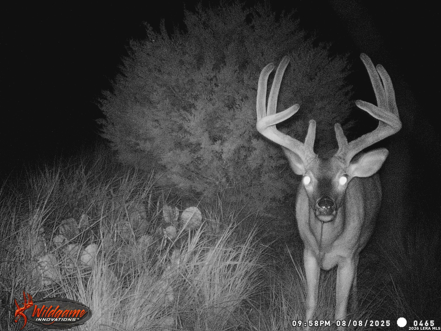 3527 Stapp Ranch Road Harper, TX 78631 - Photo 40 of 49