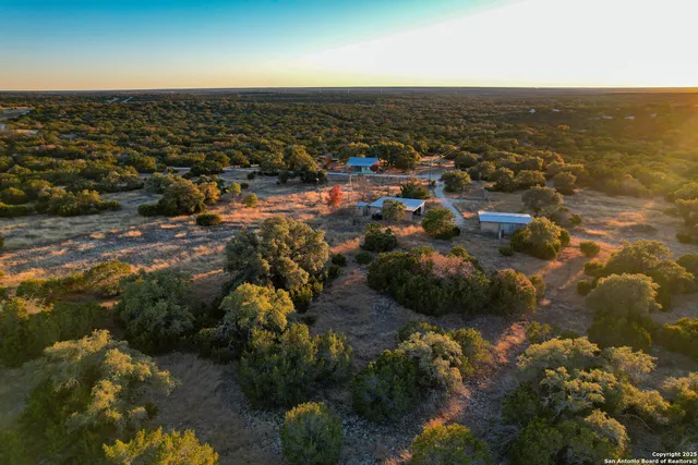 a view of a tree with a yard