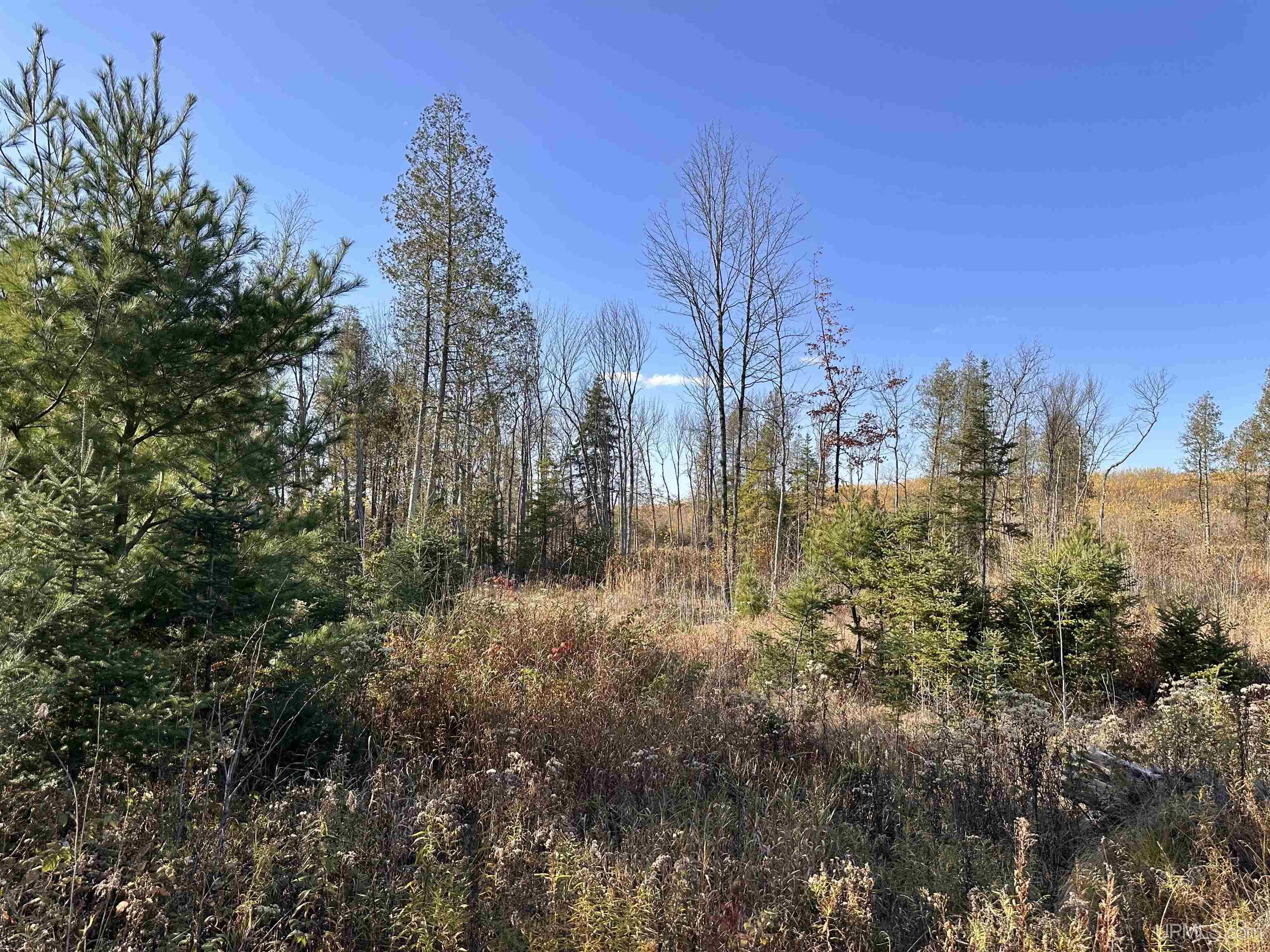 W8220 Co Road Vulcan, MI 49892 - Photo 9 of 14