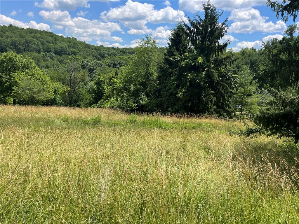 0 Calhoun Road Elizabeth, PA 15037 - Photo 12 of 12