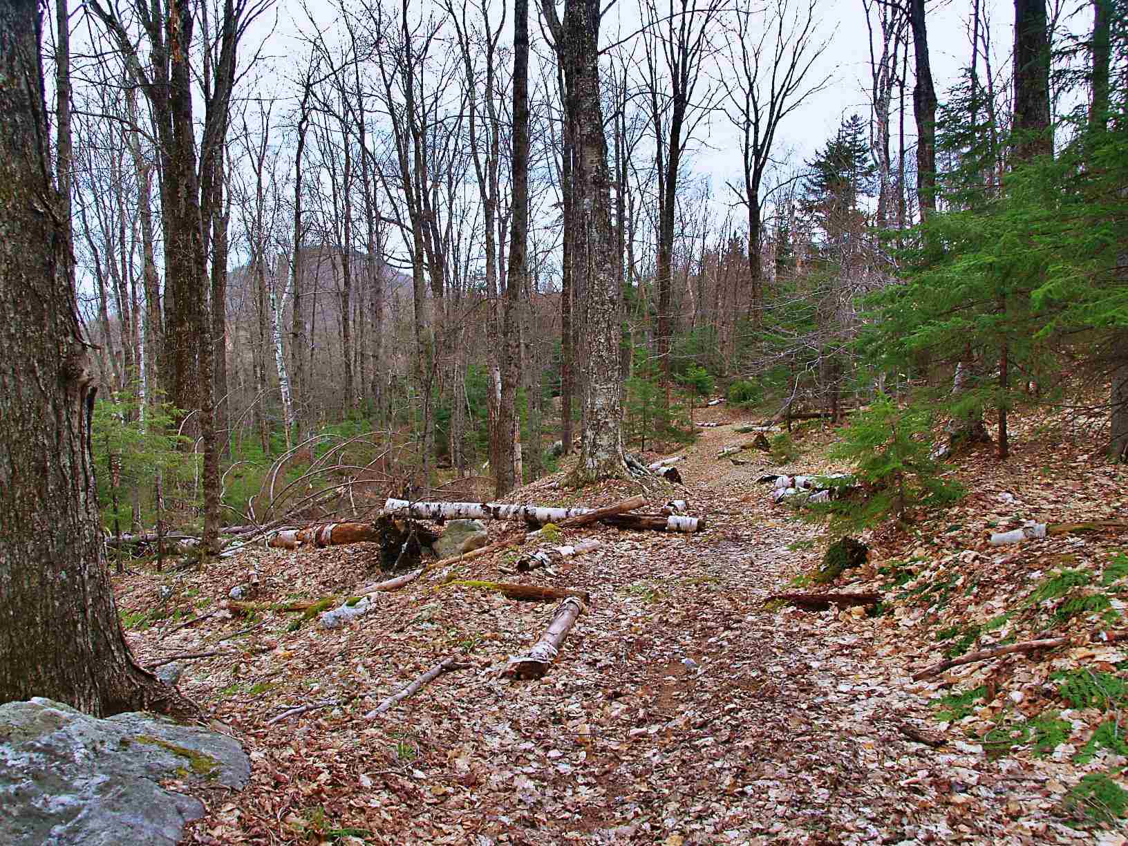 2050 West Hill Road Warren, VT 05674 - Photo 22 of 34 Gallery Image 22