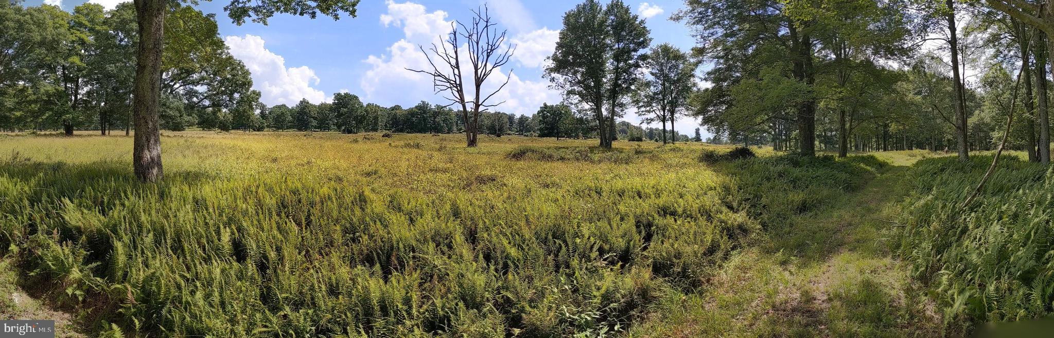 614 Graystones Jeras Road Jim Thorpe, PA 18229 - Photo 9 of 22 a view of outdoor space
