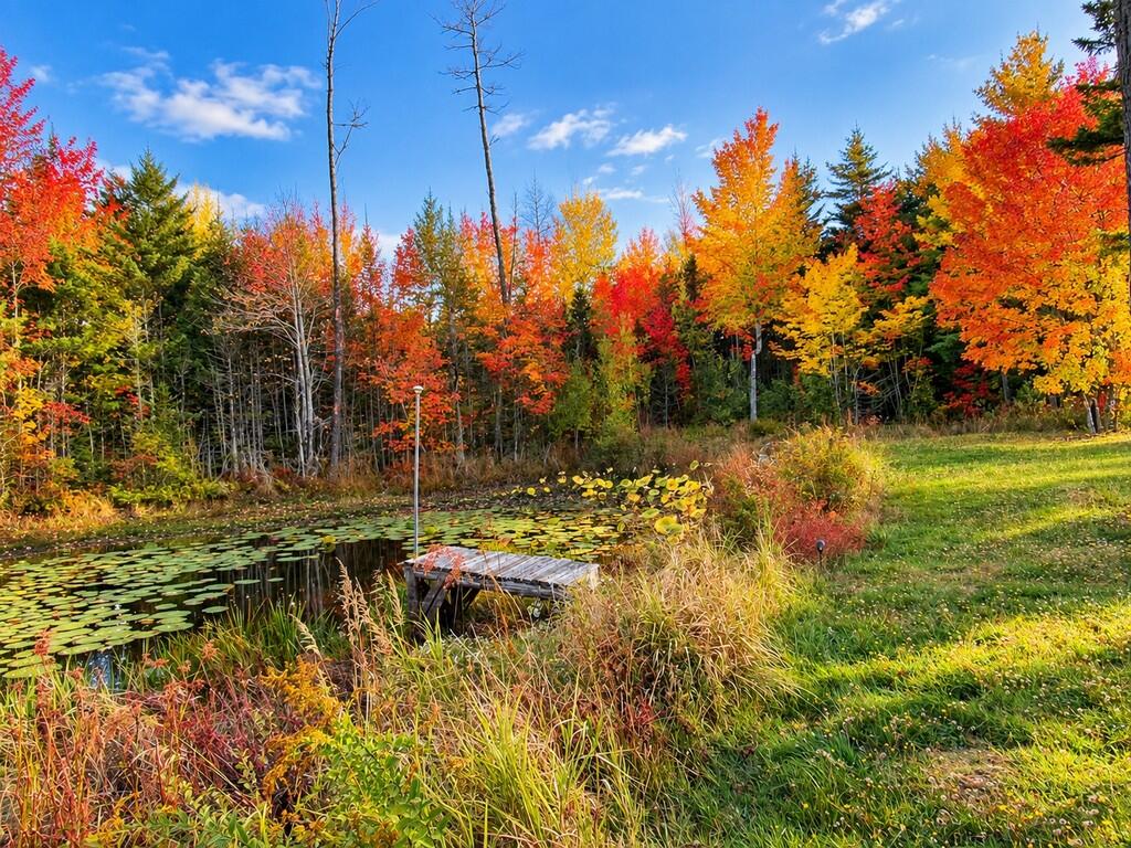241 Baker Brook Road Bradley, ME 04411 - Photo 89 of 106 Pond 1 (251-BBR-Bradley) (Copy)