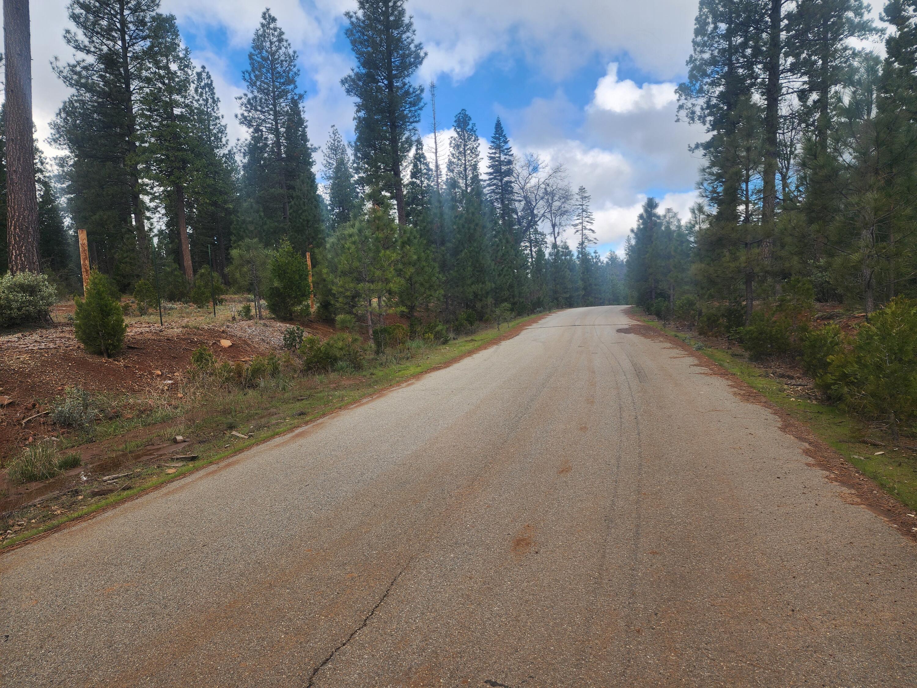Waterleaf Lane Shingletown, CA 96088 - Photo 8 of 8 a view of a street