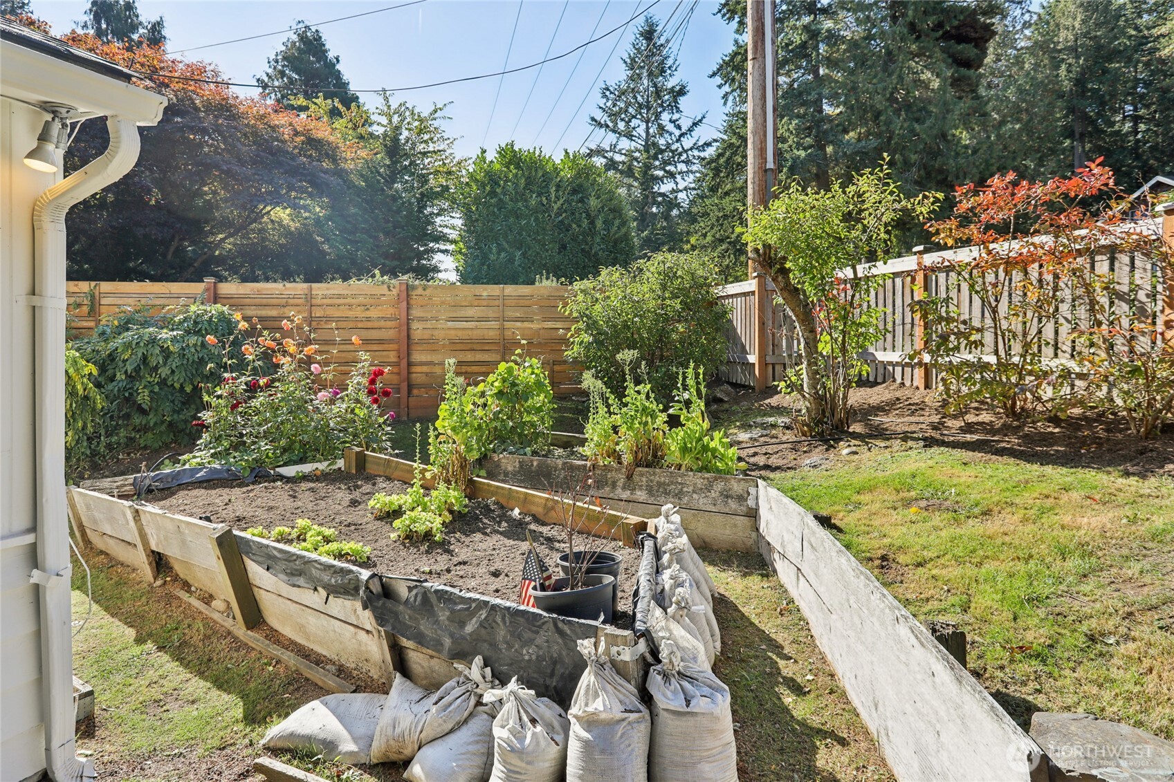 1005 Northeast 170th Street Shoreline, WA 98155 - Photo 24 of 35 a view of a backyard with sitting area