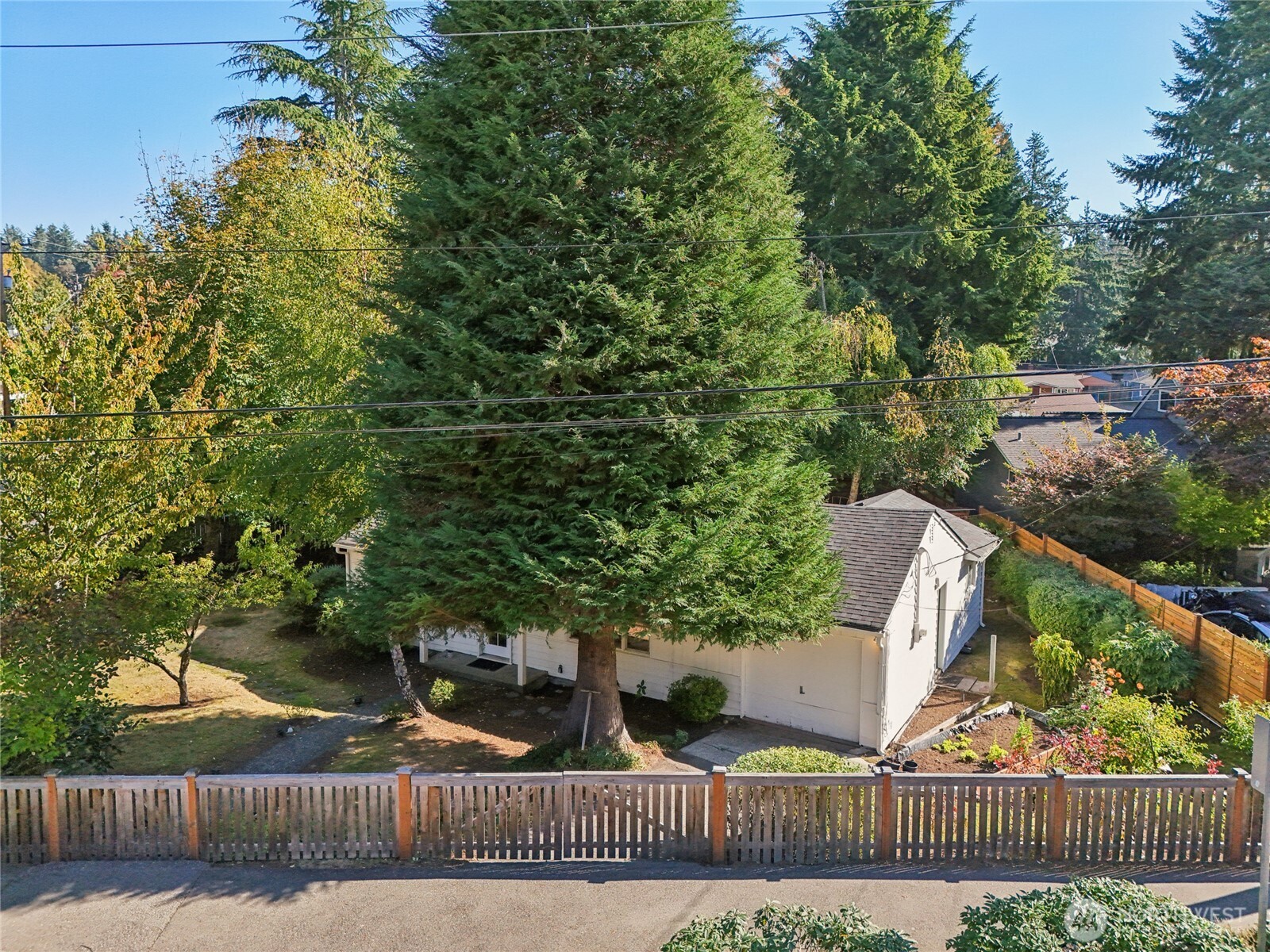1005 Northeast 170th Street Shoreline, WA 98155 - Photo 31 of 35 a view of outdoor space and yard