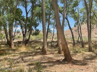 2955 South Sexton Ranch Road Cornville, AZ 86325 - Photo 55 of 67