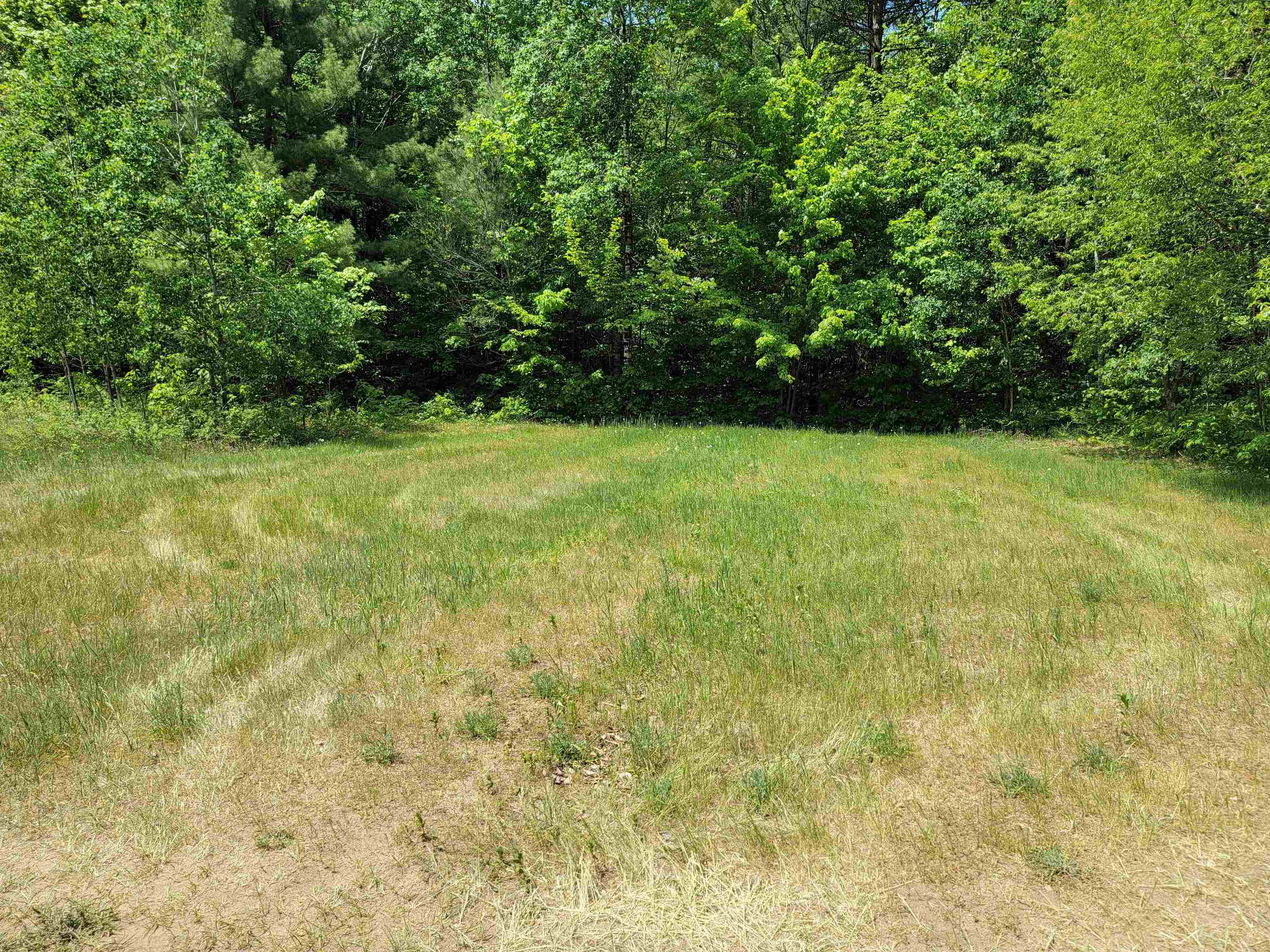 5381 Old Alba Road Gaylord, MI 49735 - Photo 42 of 43 1911790-42.JPG