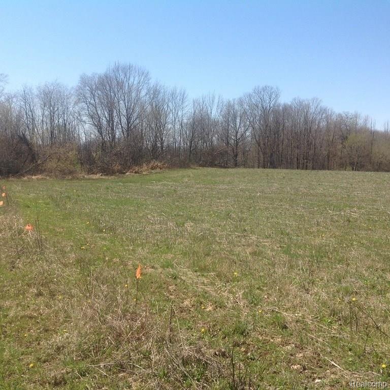 0 Stinson Road Memphis, MI 48041 - Photo 5 of 14