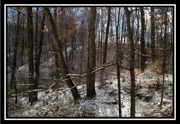 5900 Piper Road Zanesville, OH 43701 - Photo 6 of 9