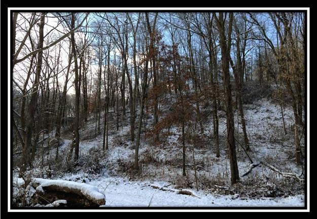 5900 Piper Road Zanesville, OH 43701 - Photo 8 of 9