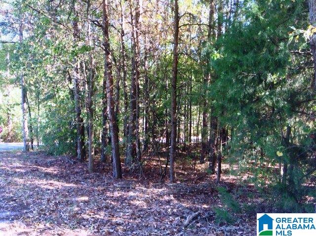 0 Whispering Pines Road, Unit 1 AMD 2 Oxford, AL 36203 - Photo 7 of 30