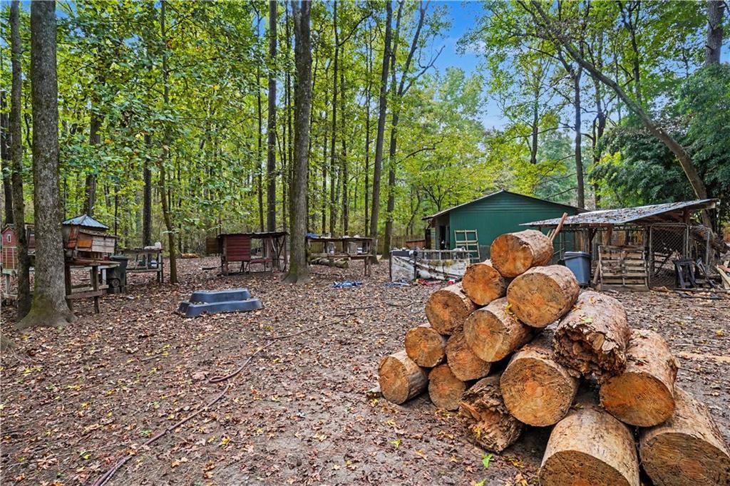 1290 Moreland Road Williamson, GA 30292 - Photo 76 of 86 Gallery Image 76