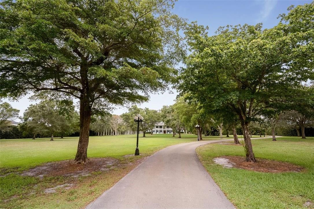 a view of a park with tree s