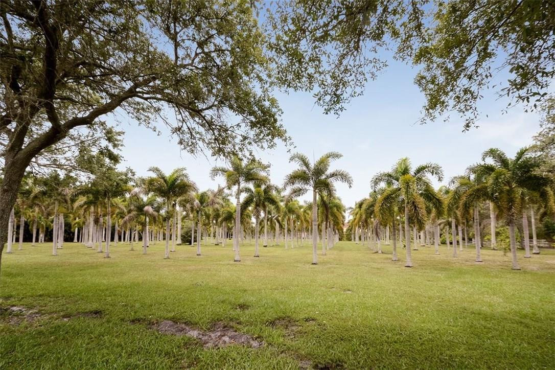 13851 Stirling Road Southwest Ranches, FL 33330 - Photo 4 of 33 a view of outdoor space with garden