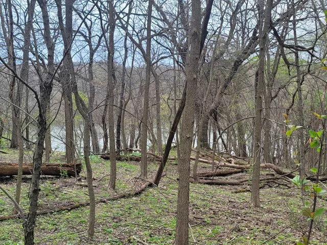 $65,000 | 4 Waterford Drive, Galena, IL 61036