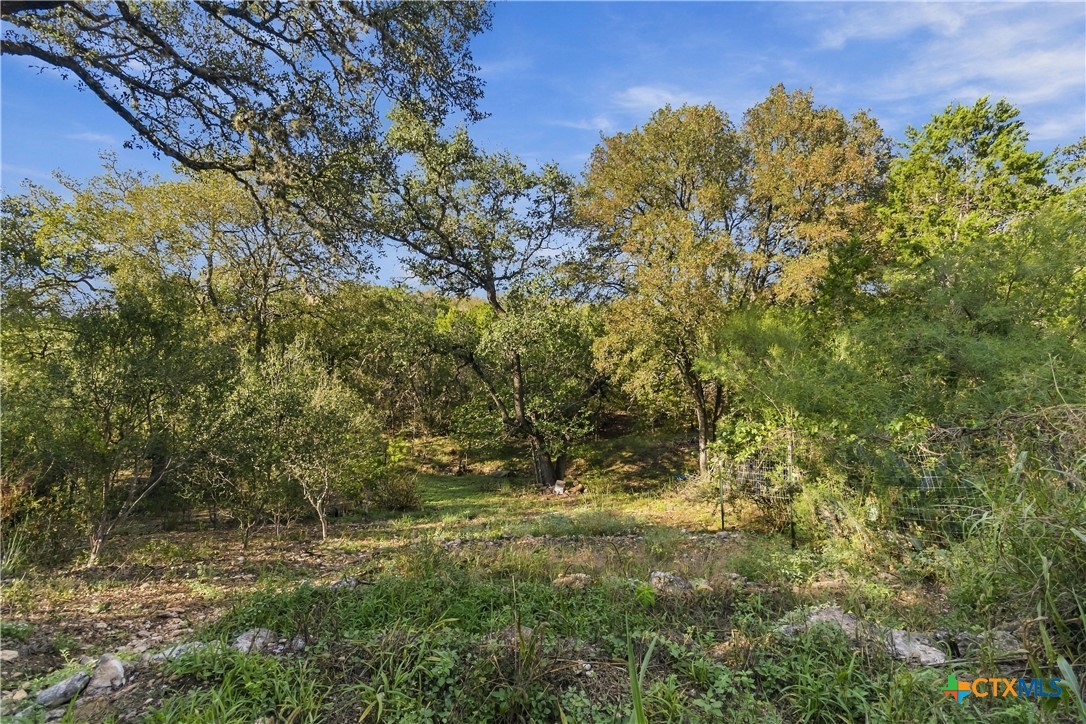 205 Homestead Road Kyle, TX 78640 - Photo 18 of 30 Beautiful view off back porch