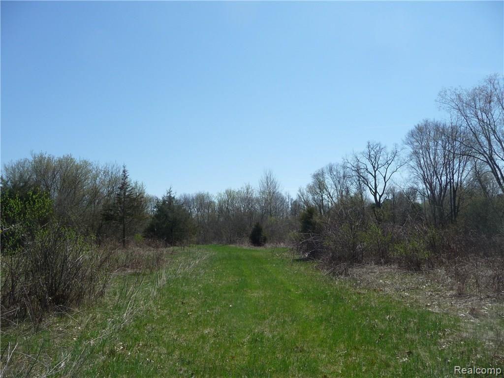 5375 Spears Road Pinckney, MI 48169 - Photo 10 of 10
