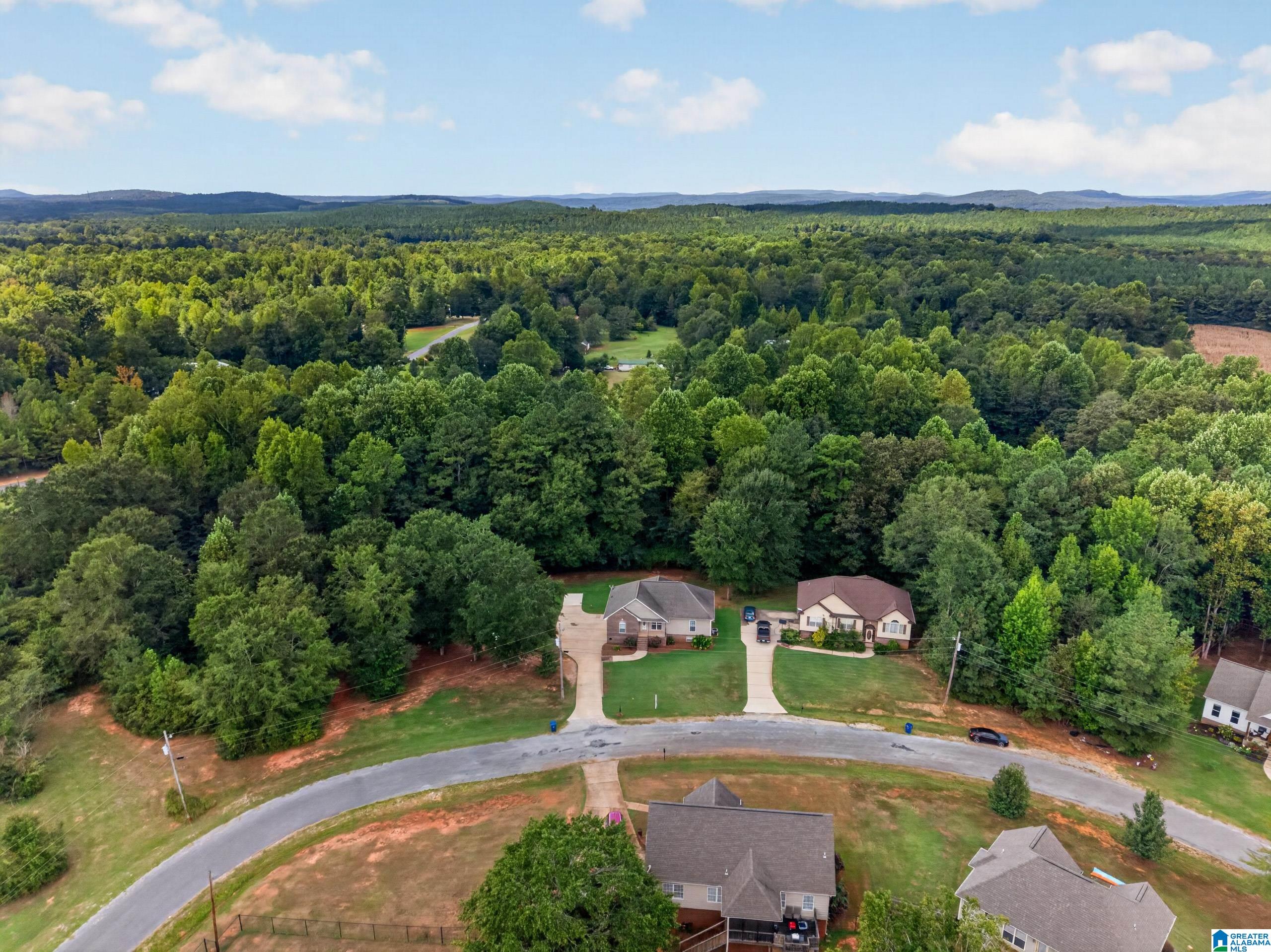 120 Trapper's Way Springville, AL 35146 - Photo 58 of 58 Gallery Image 58