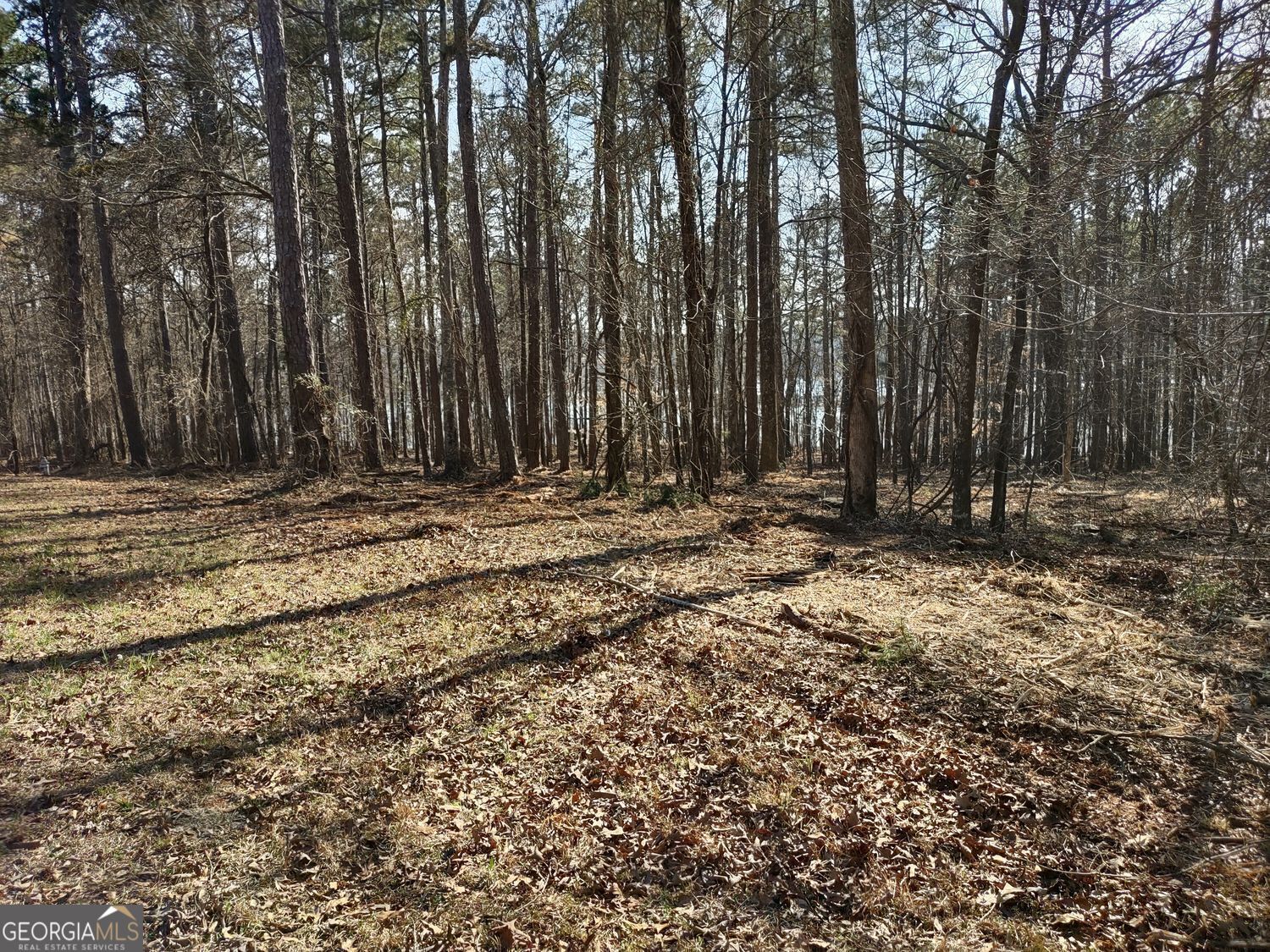 12371 Panhandle Road, Unit LOT 3 Hampton, GA 30228 - Photo 21 of 41 a view of outdoor space with trees