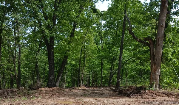 $42,000 | Tbd Possum Trot Road, Stover, MO 65078