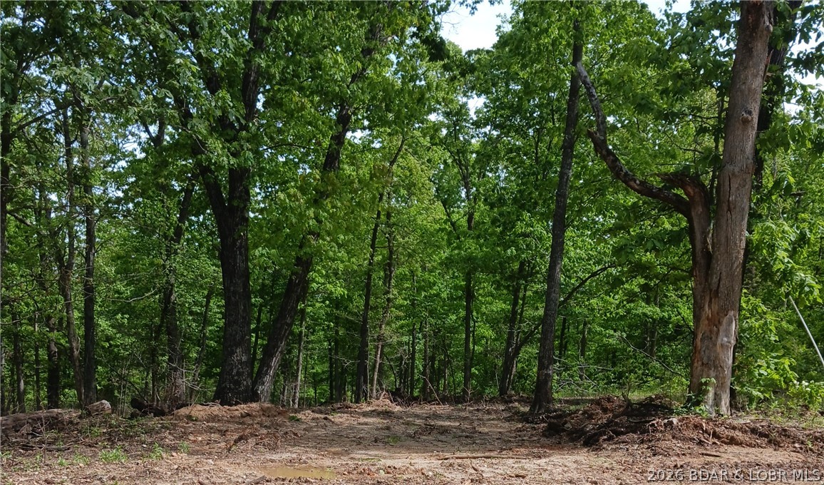 Tbd Possum Trot Road Stover, MO 65078 - Photo 1 of 3
