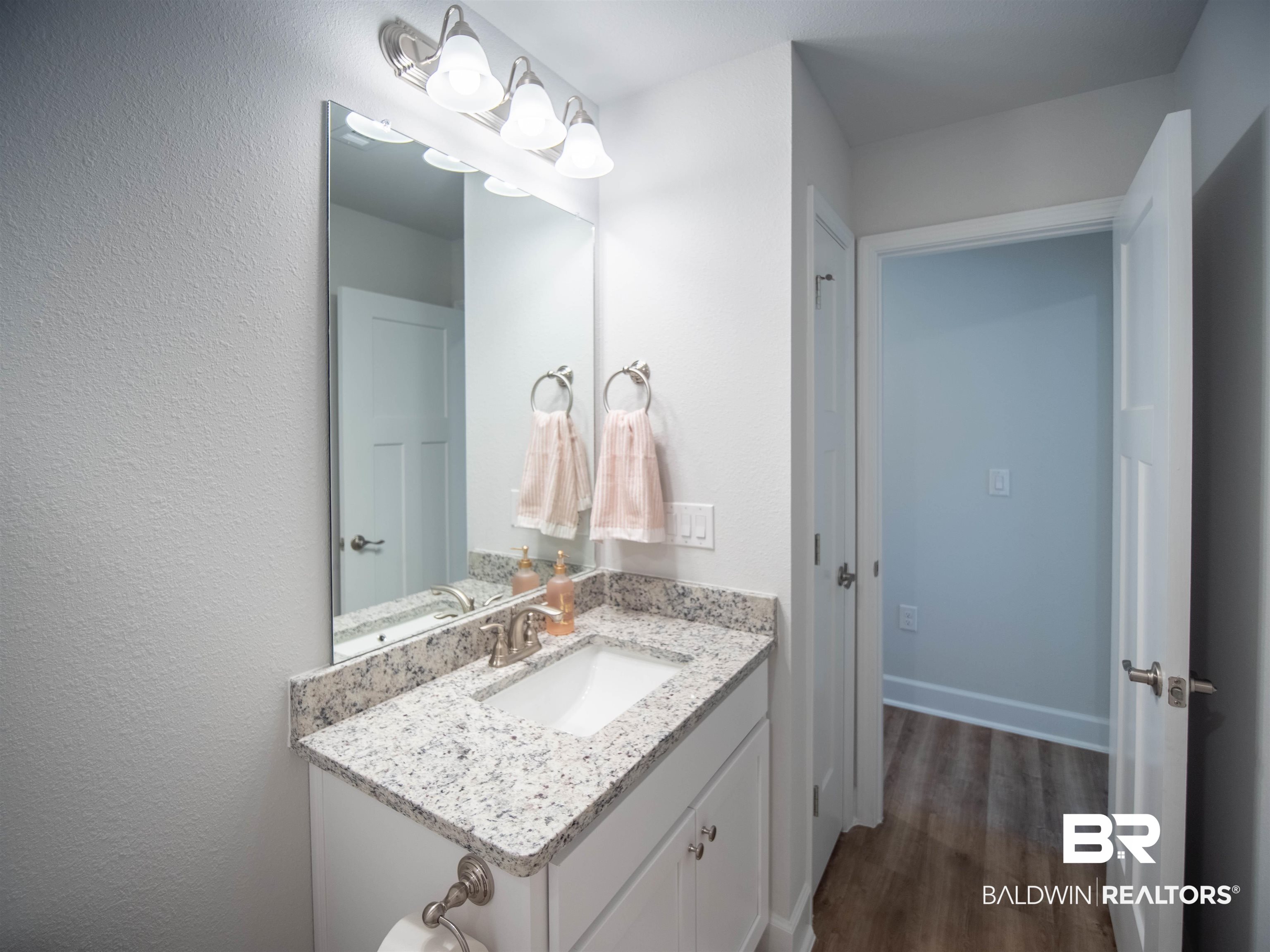 12646 Michigan Avenue Elberta, AL 36530 - Photo 31 of 47 Bathroom with vanity and wood finished floors