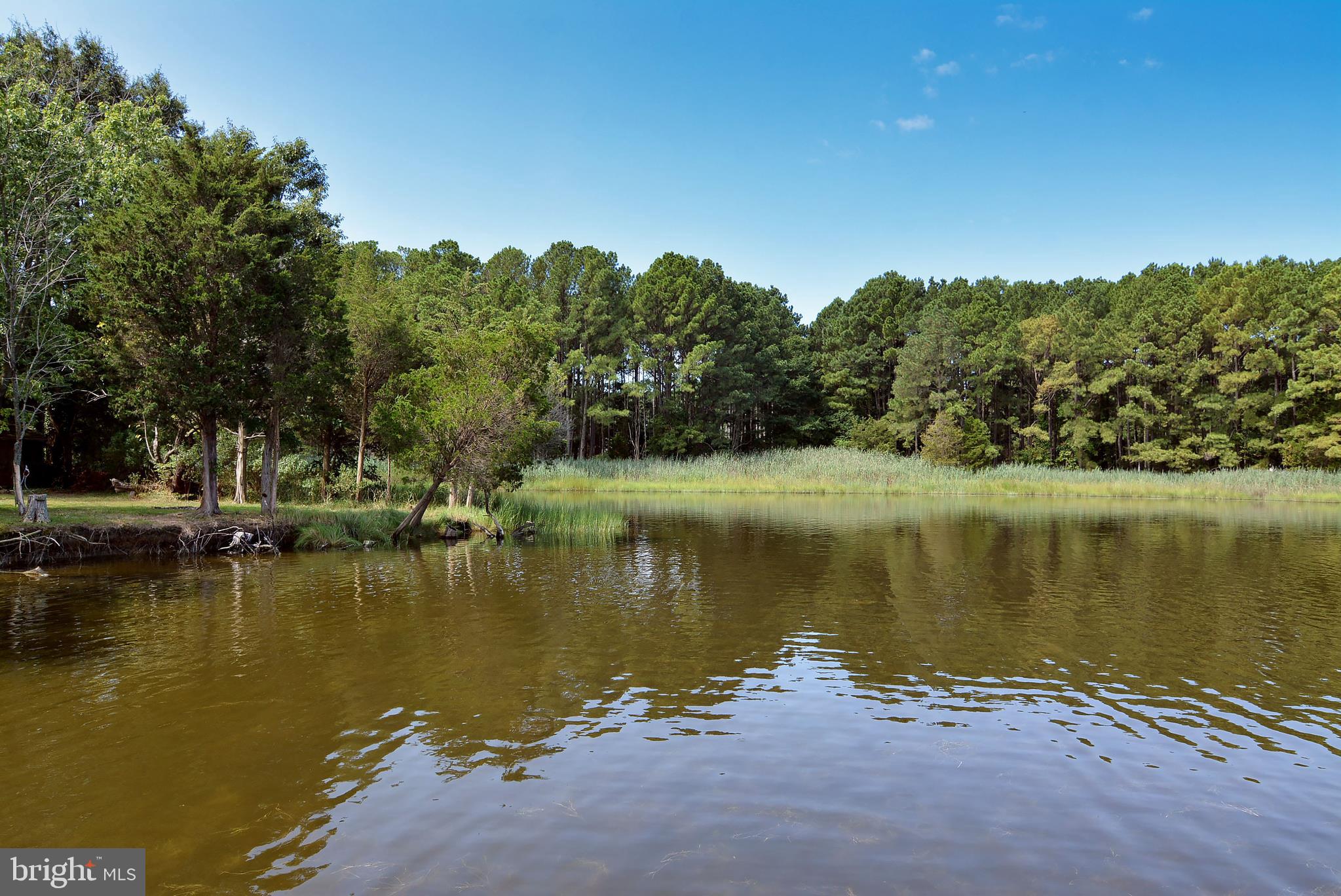 7922 Bozman Neavitt Road St. Michaels, MD 21663 - Photo 14 of 44 Gallery Image 14
