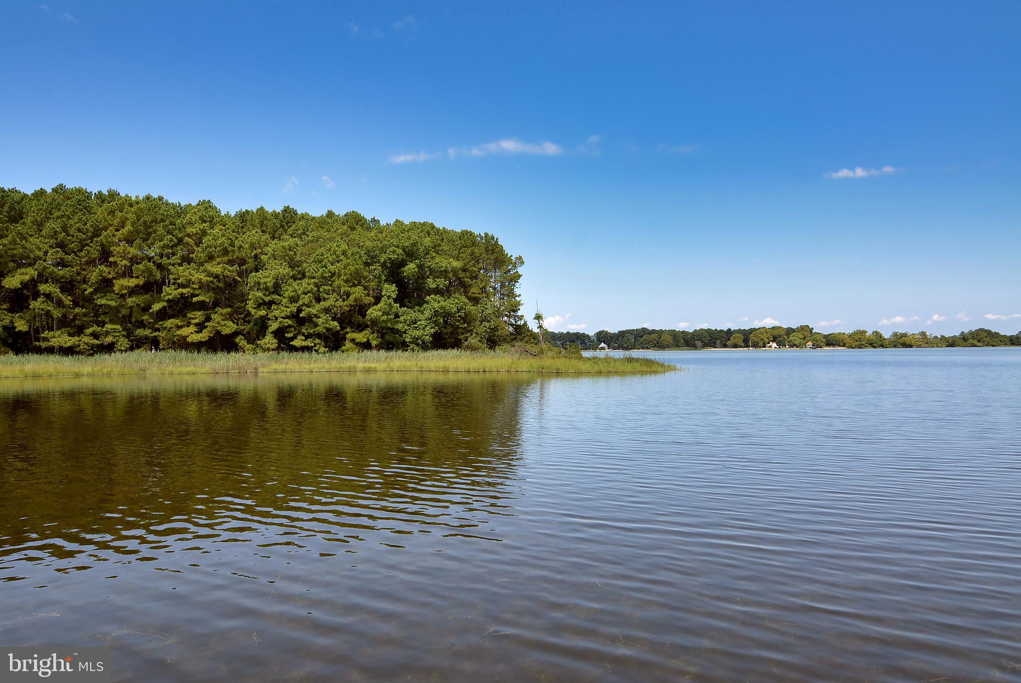 7922 Bozman Neavitt Road St. Michaels, MD 21663 - Photo 15 of 44 Gallery Image 15
