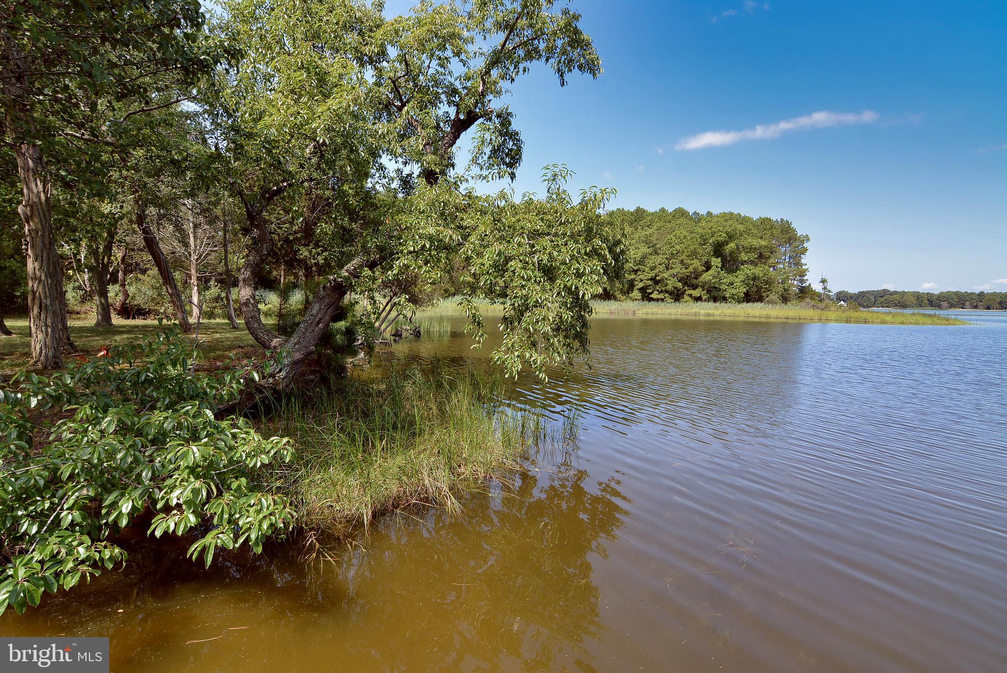 7922 Bozman Neavitt Road St. Michaels, MD 21663 - Photo 17 of 44 Gallery Image 17