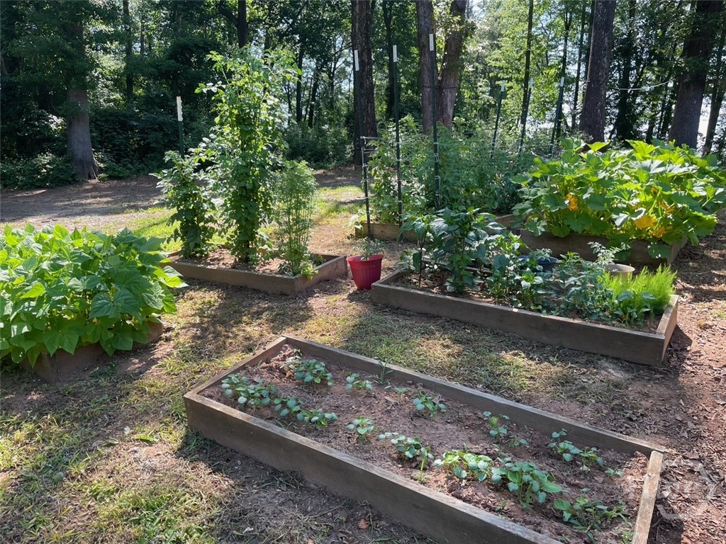 1260 Nelms Road Carnesville, GA 30521 - Photo 28 of 30 Garden Area