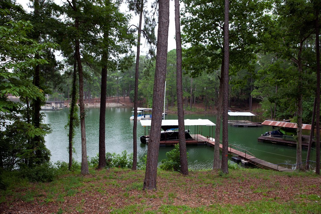 844 Confederate Drive Modoc, SC 29838 - Photo 14 of 33 LAKE VIEWS FROM HOME