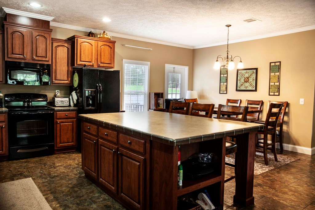 844 Confederate Drive Modoc, SC 29838 - Photo 19 of 33 KITCHEN