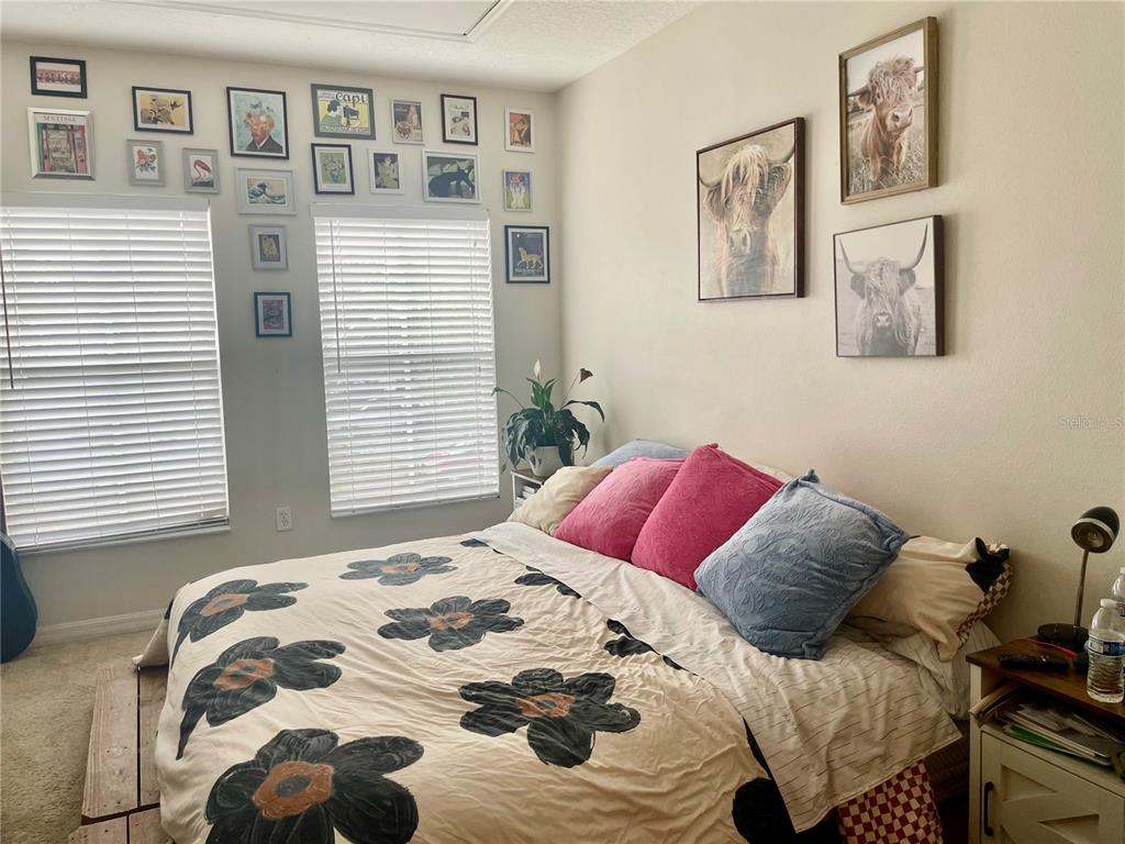 646 Norfolk Street Dunedin, FL 34698 - Photo 24 of 29