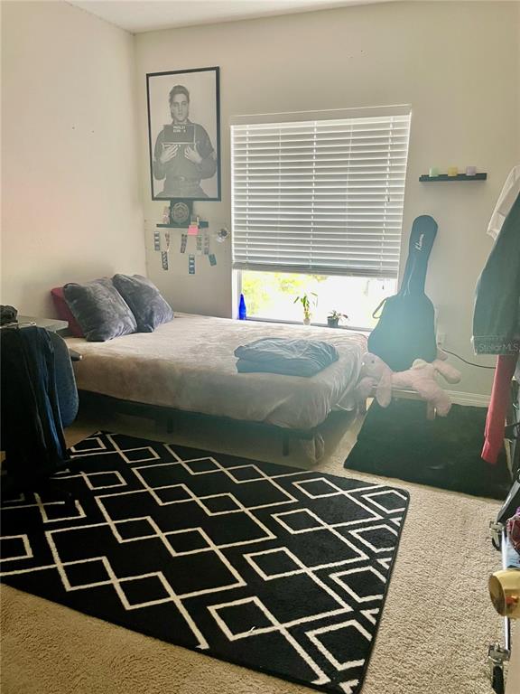 646 Norfolk Street Dunedin, FL 34698 - Photo 26 of 29