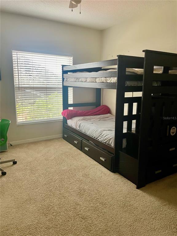 646 Norfolk Street Dunedin, FL 34698 - Photo 27 of 29