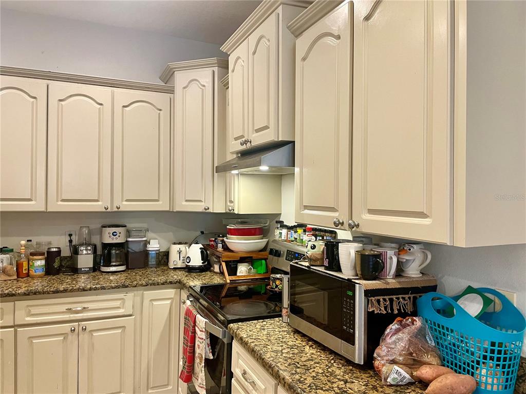 646 Norfolk Street Dunedin, FL 34698 - Photo 4 of 29