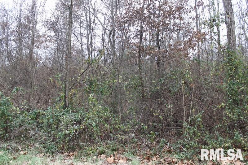 0 Sequoia Road Carbondale, IL 62902 - Photo 2 of 4 Gallery Image 2